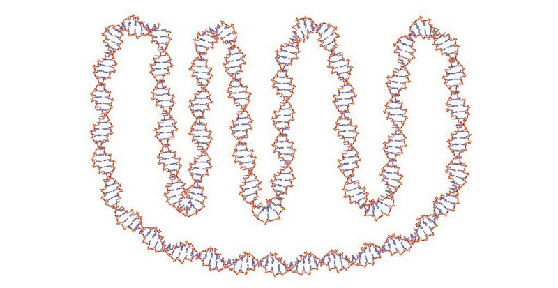 CHIMERA & GRAPHITE DNA (1)