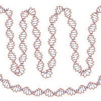 Small CHIMERA & GRAPHITE DNA (1) 3D Printing 36224