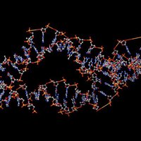 Small DNA 3D Printing 36233