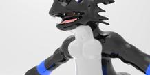 Image 36237