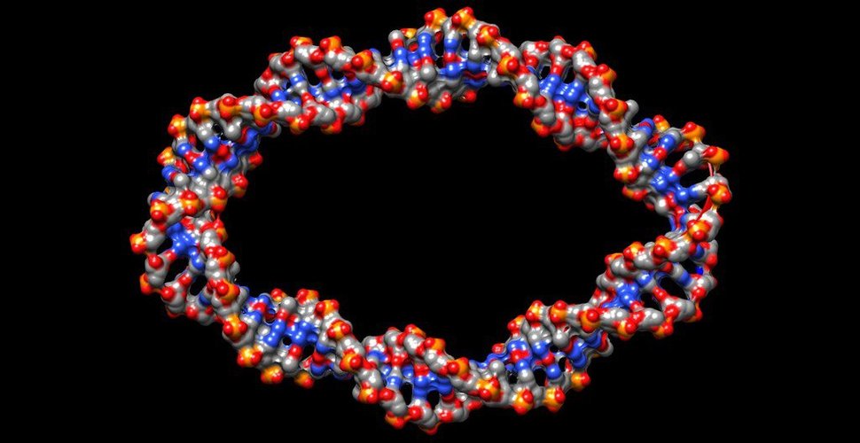 DNA CHIMERA & GRAPHITE 3D Print 36240