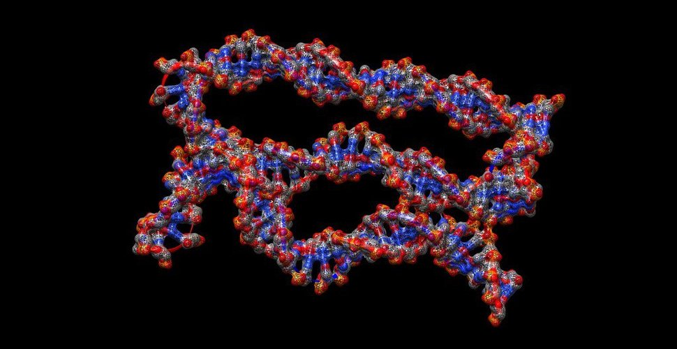 DNA (1) 3D Print 36249