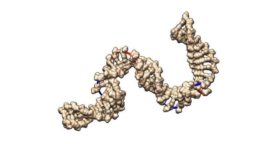 DNA (1) 3D Print 36255