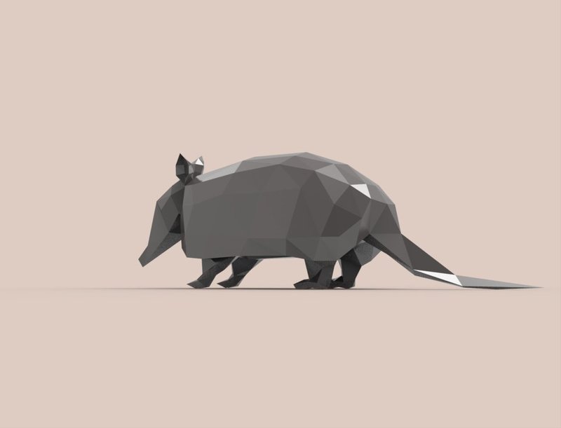 Armadillo