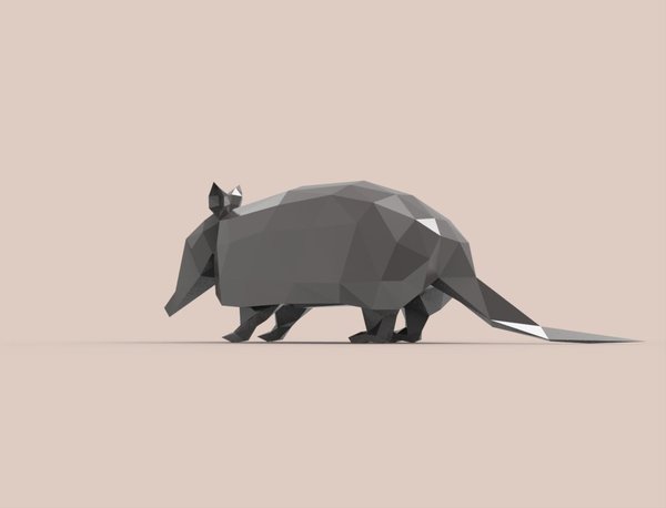 Armadillo