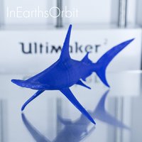 Small Organic Hammerhead Shark 3D Printing 36349