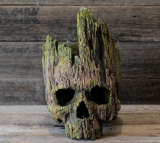 Groot skull 3D Print 365670