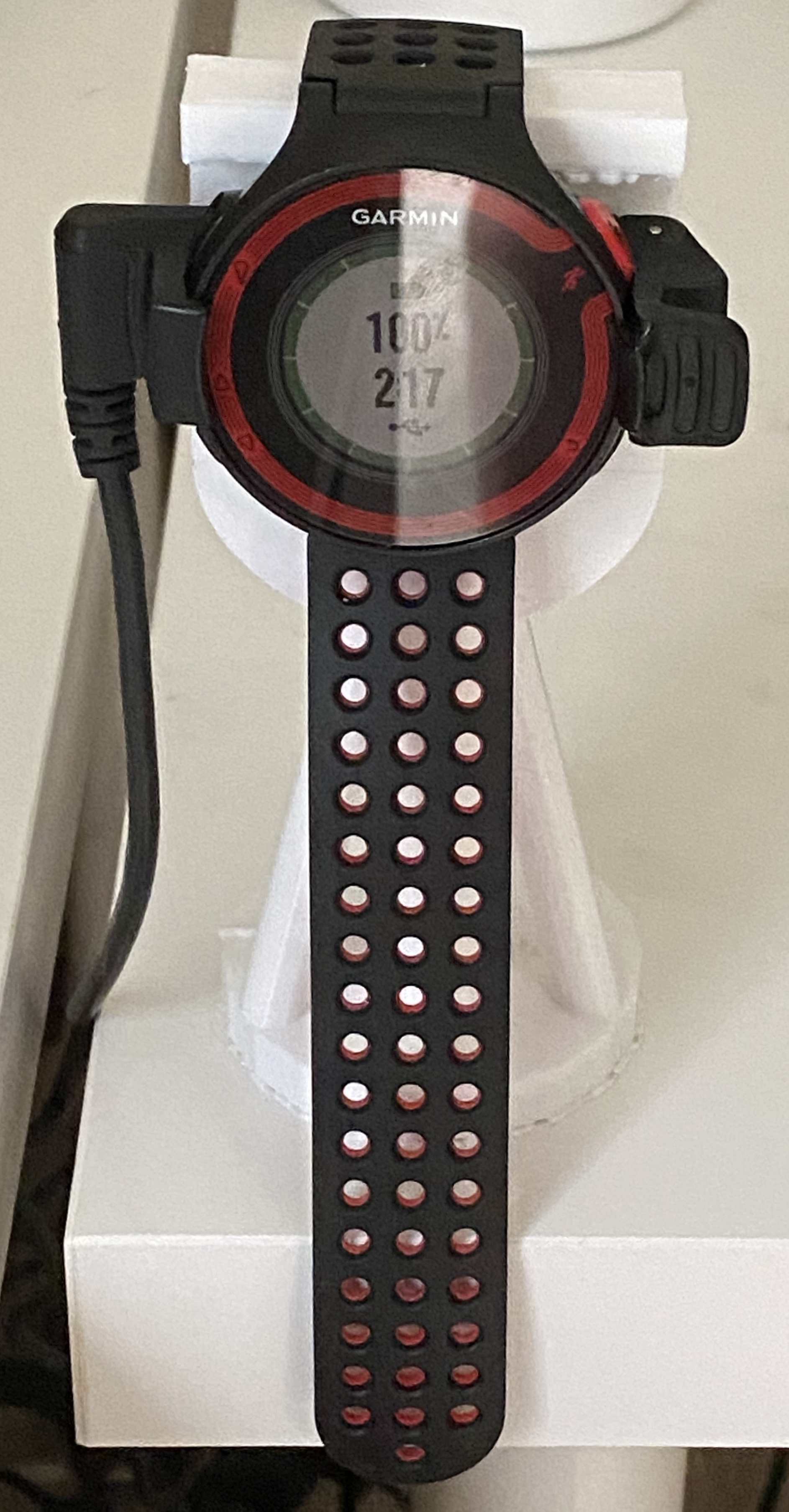 Watch holder