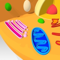 Animal Cell - Thumbnail 15