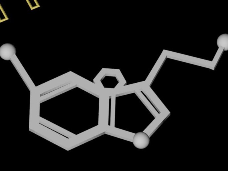Serotonin Keychain/Necklace