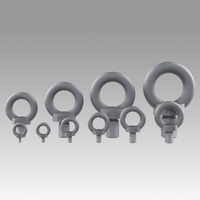 Eyebolt set - Thumbnail 4