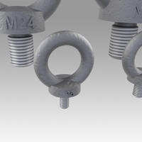 Eyebolt set - Thumbnail 7