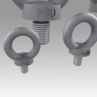 Eyebolt set - Thumbnail 8