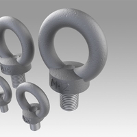 Eyebolt set - Thumbnail 10