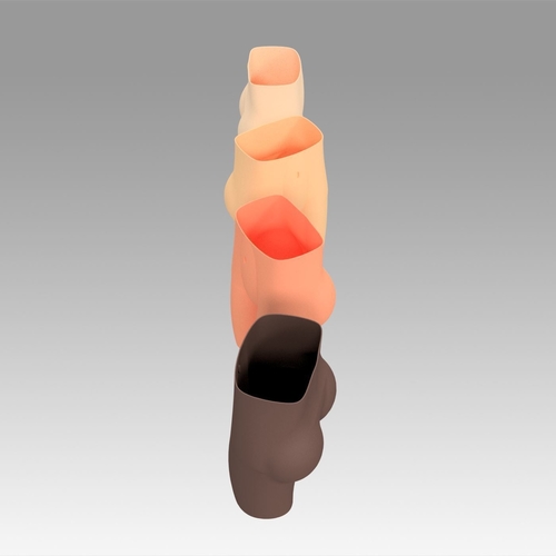 Female Form Vases 3D Print 368067