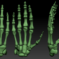 Human hand bones Wrist skeleton 3D model - Thumbnail 1