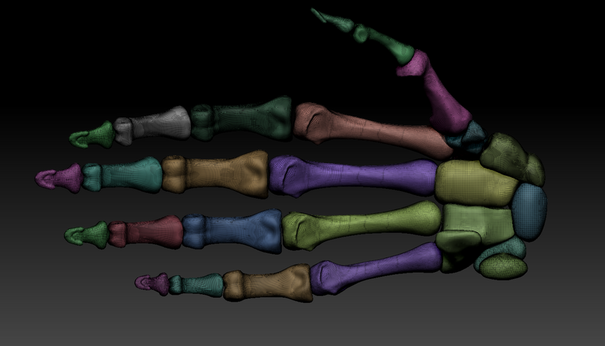 Human hand bones Wrist skeleton 3D model 3D Print 368143