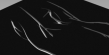 Image 368703