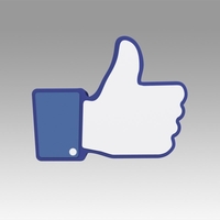 Facebook Like Sign - Thumbnail 2