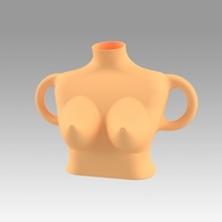 Small Vase female breast 3D Printing 369183