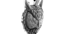 Image 369313