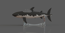 Image 369475