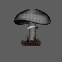 Mushroom - Thumbnail 1