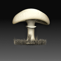 Mushroom - Thumbnail 2