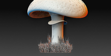 Image 369648