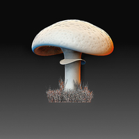 Small Mushroom 3D Printing 369648