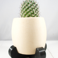 Modern Desert Planter - Thumbnail 2