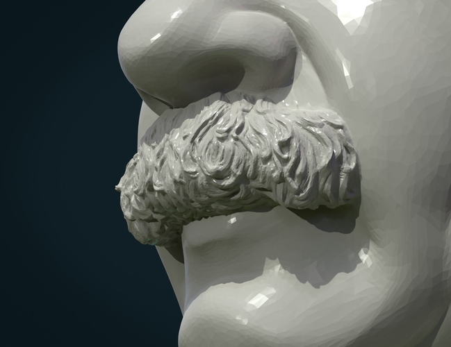 Einstein bust 3D Print 369810