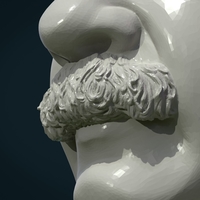 Einstein bust - Thumbnail 10