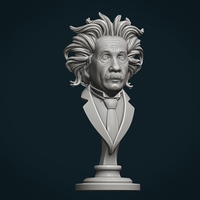 Einstein bust - Thumbnail 13