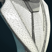 Einstein bust - Thumbnail 16