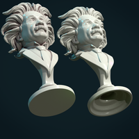 Einstein bust - Thumbnail 18