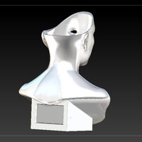 LA DAMA DE HIEDRAS - Thumbnail 3