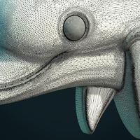 Dolphin relief - Thumbnail 11