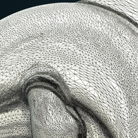 Dolphin relief - Thumbnail 12