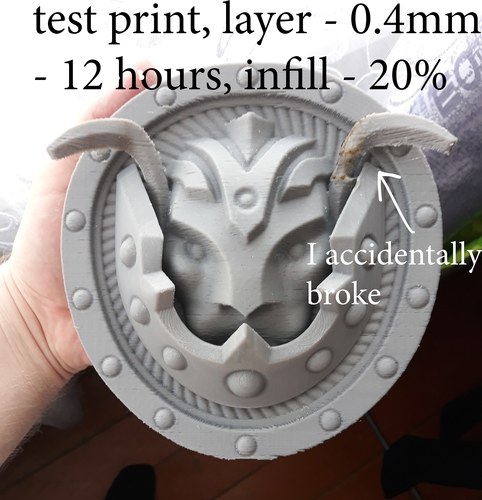 Lion shield 3D Print 371688