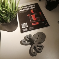 Small Octopus coat hook for kids 3D Printing 372380