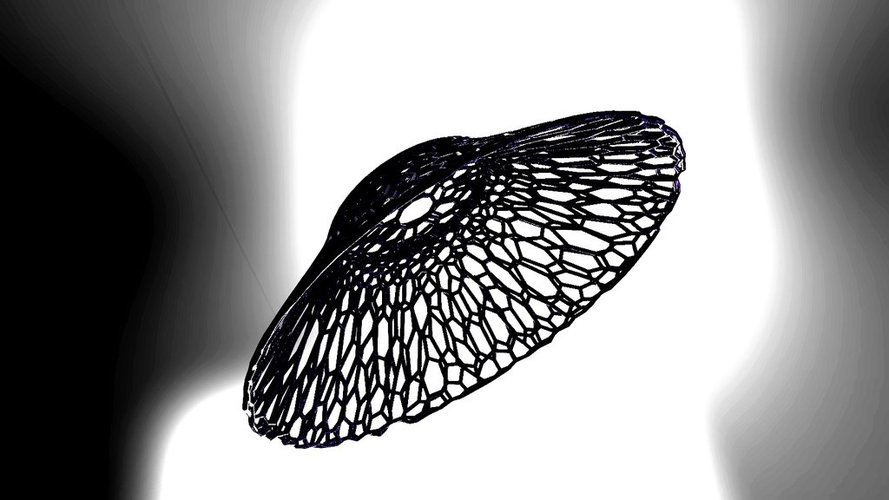 UFO :-)  in stile Voronoi 3D Print 37641