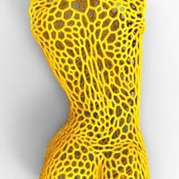 Female body in style Voronoi version 3 - Thumbnail 2