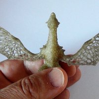 Dragon  in stile Voronoi  - Thumbnail 4