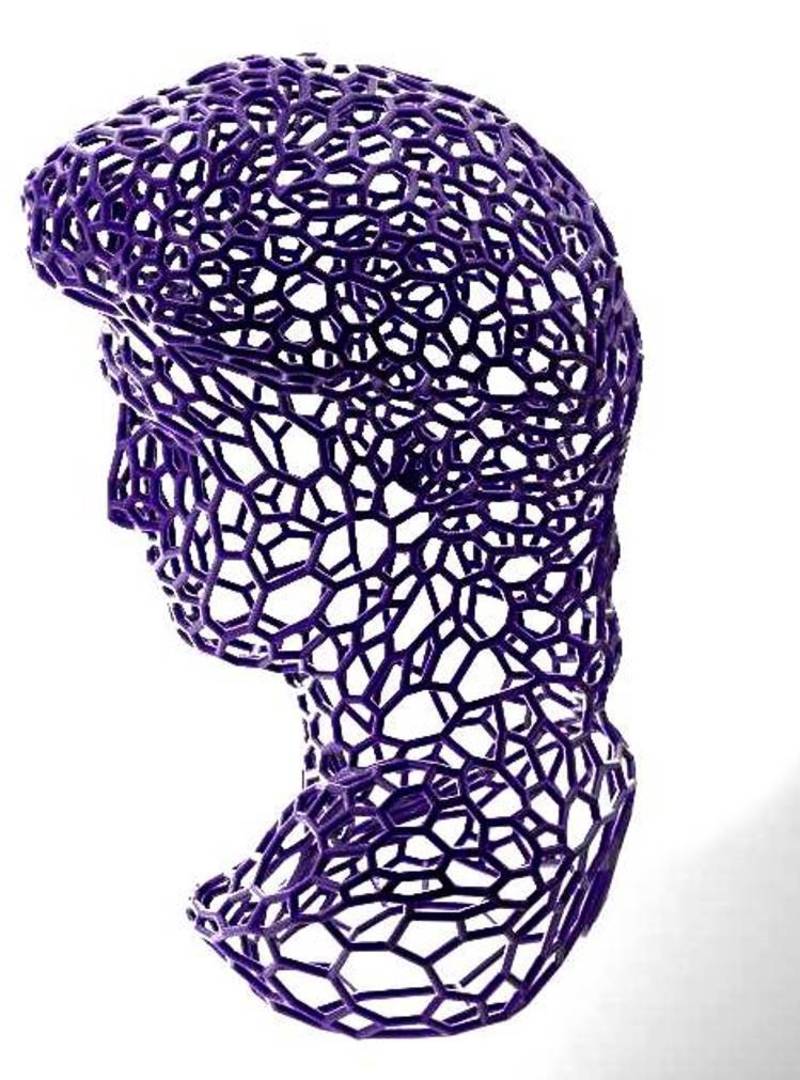 David  by Michelangelo in stile Voronoi
