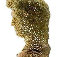 David  by Michelangelo in stile Voronoi - Thumbnail 2