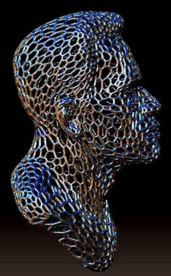 Arnold Alois Schwarzenegger  in style Voronoi.