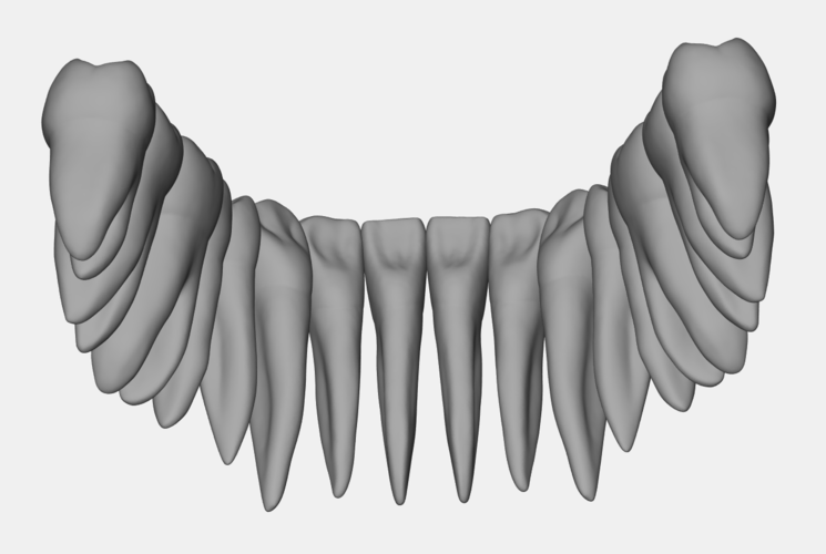 Azure lower jaw dental anatomy with roots 3D Print 377138