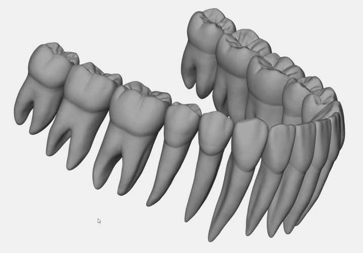Azure lower jaw dental anatomy with roots 3D Print 377140