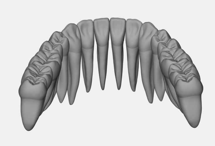 Azure lower jaw dental anatomy with roots 3D Print 377141